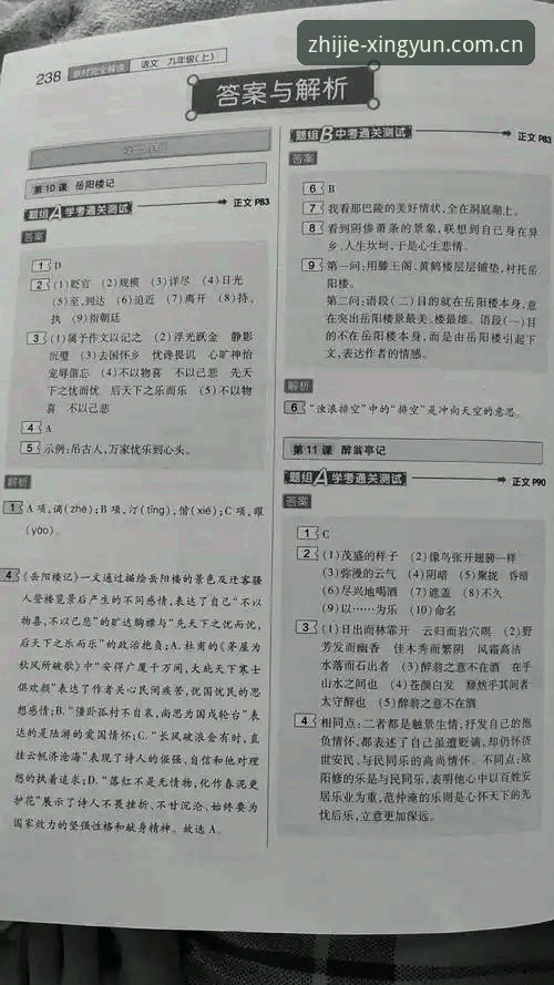 杏运平台官网注册中国官方主页CN站常见问题 杏运平台注册CN站常见问题实用指南——亲历者刘洋的避坑经验